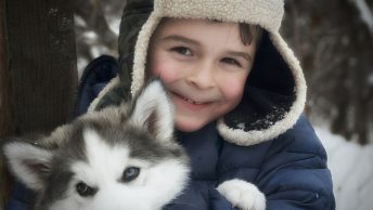 Husky with boy