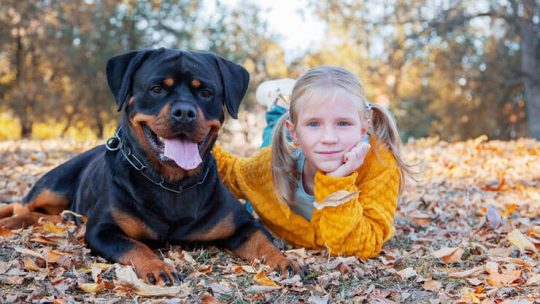 Are Rottweilers good with kids