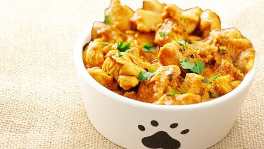 Can dogs eat curry